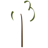 cropped-LogoToraBrasil-Favcion.png
